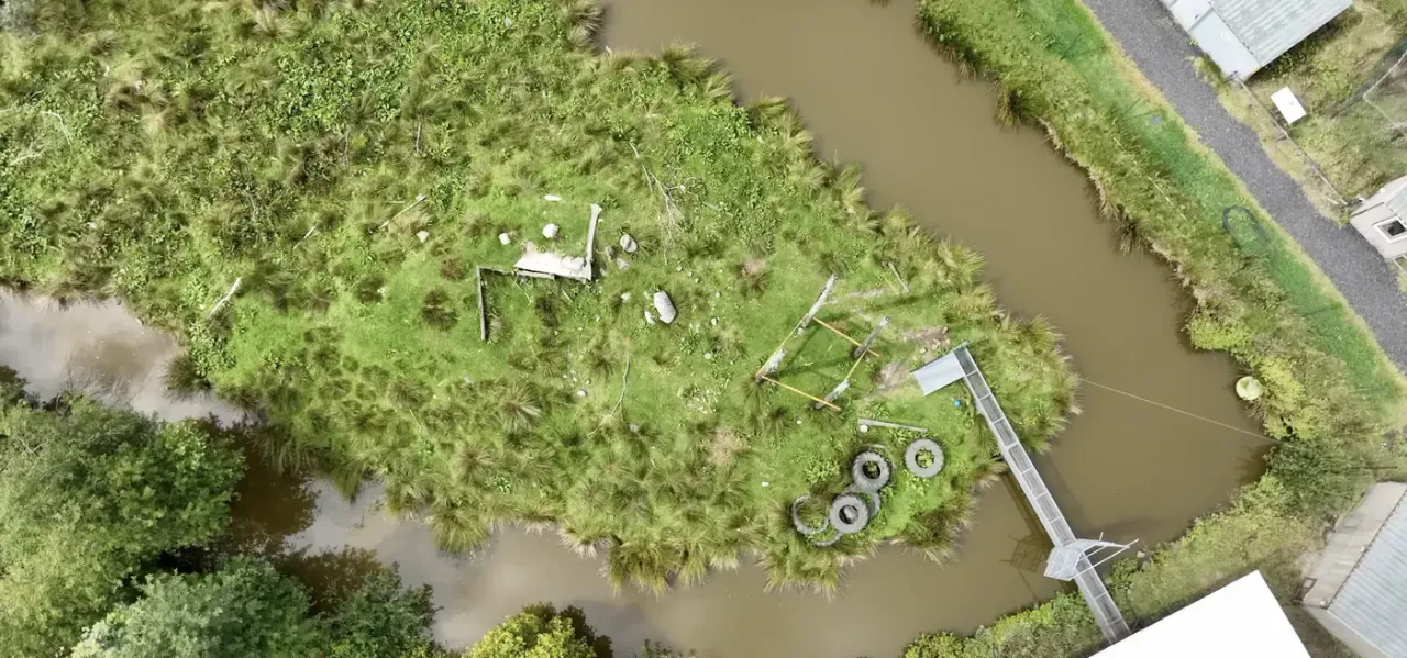 The baboon island and surrounding enclosures at Wales Ape & Monkey Sanctuary