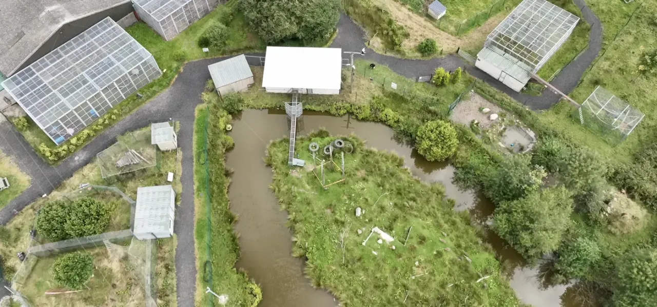 Aerial view of the sanctuary grounds and enclosures at Wales Ape & Monkey Sanctuary