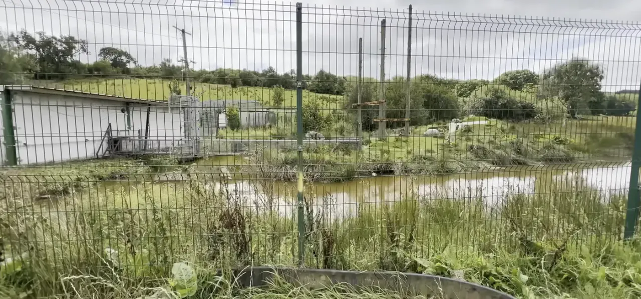 Baboon island and pond at Wales Ape & Monkey Sanctuary